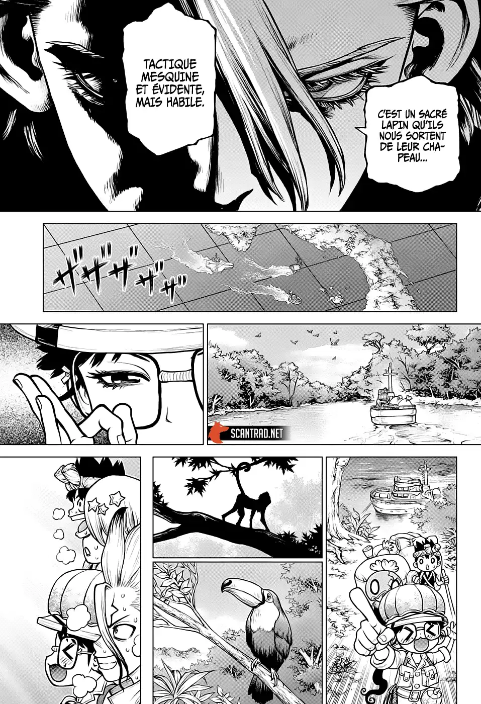 Read Dr. Stone FR Manga Online
