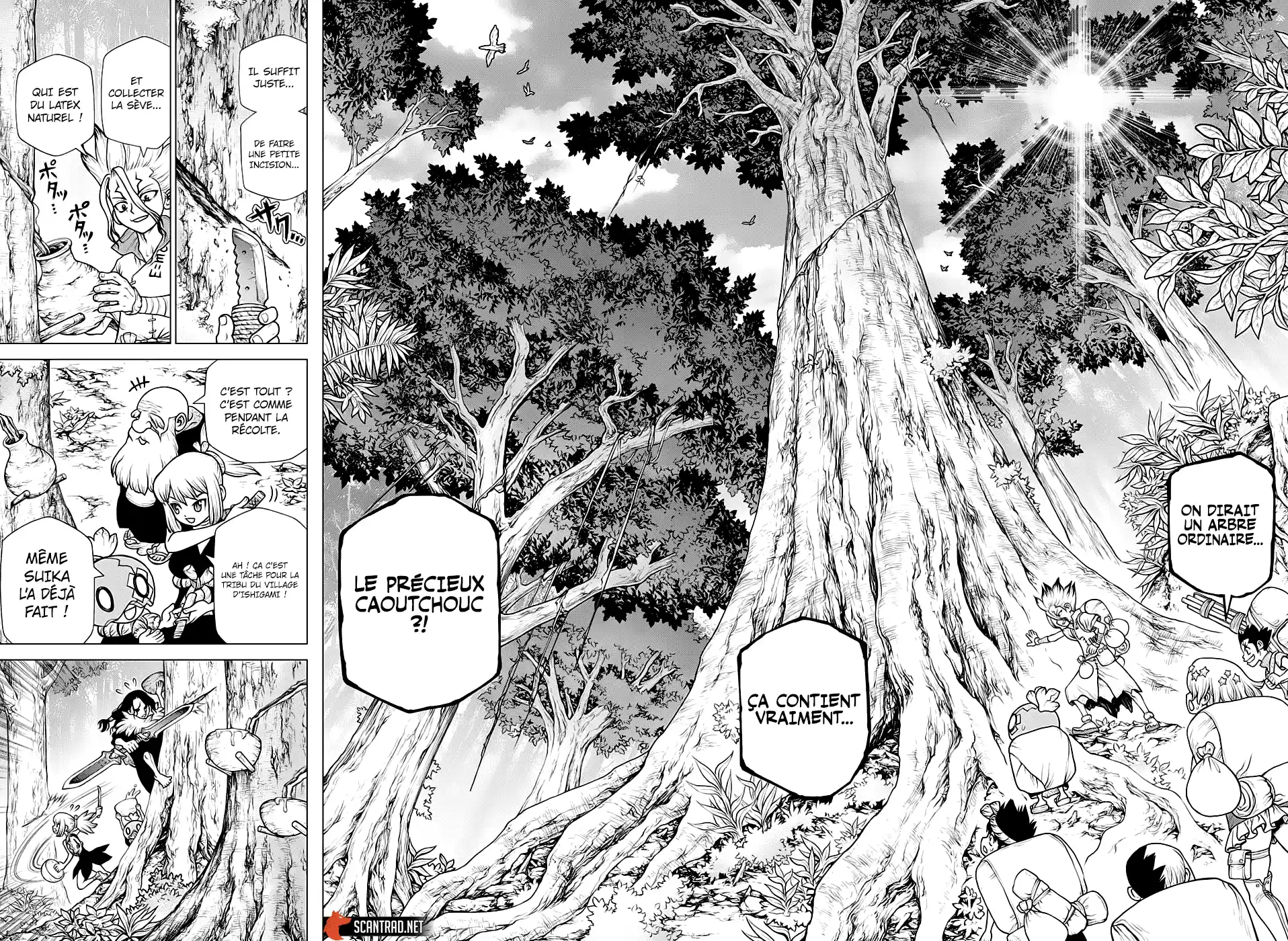 Read Dr. Stone FR Manga Online
