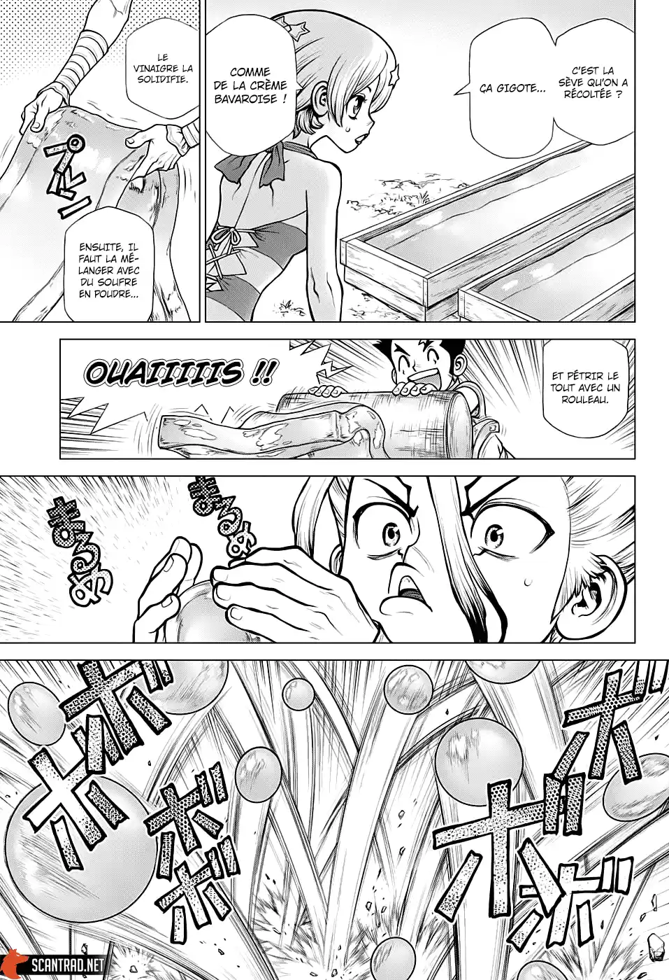 Read Dr. Stone FR Manga Online