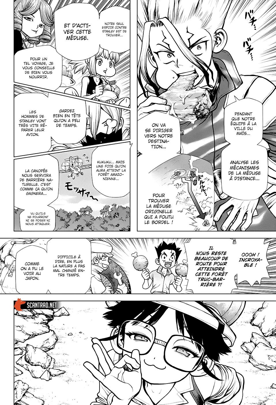 Read Dr. Stone FR Manga Online