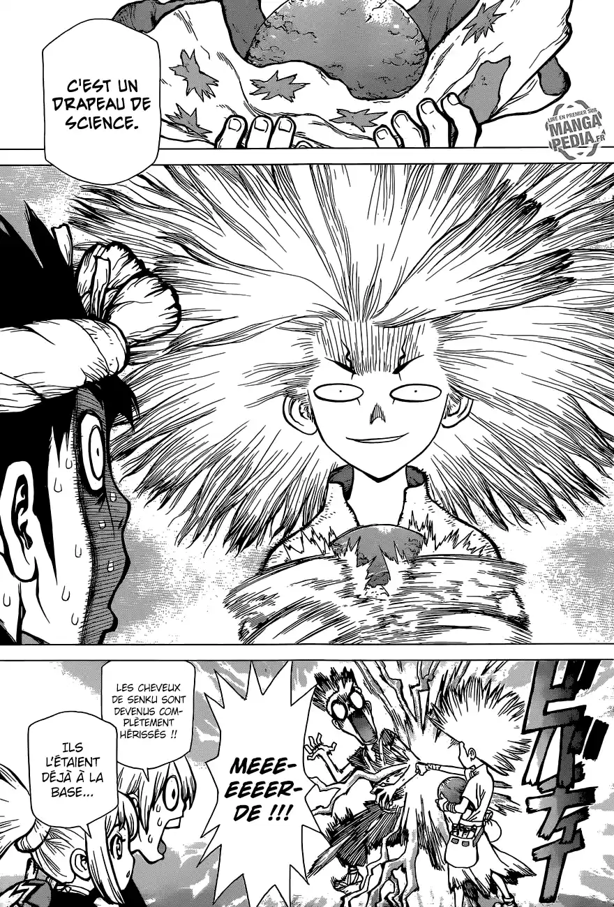 Read Dr. Stone FR Manga Online