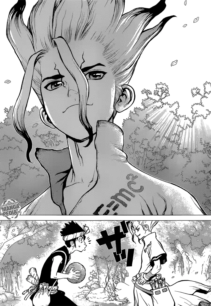 Read Dr. Stone FR Manga Online