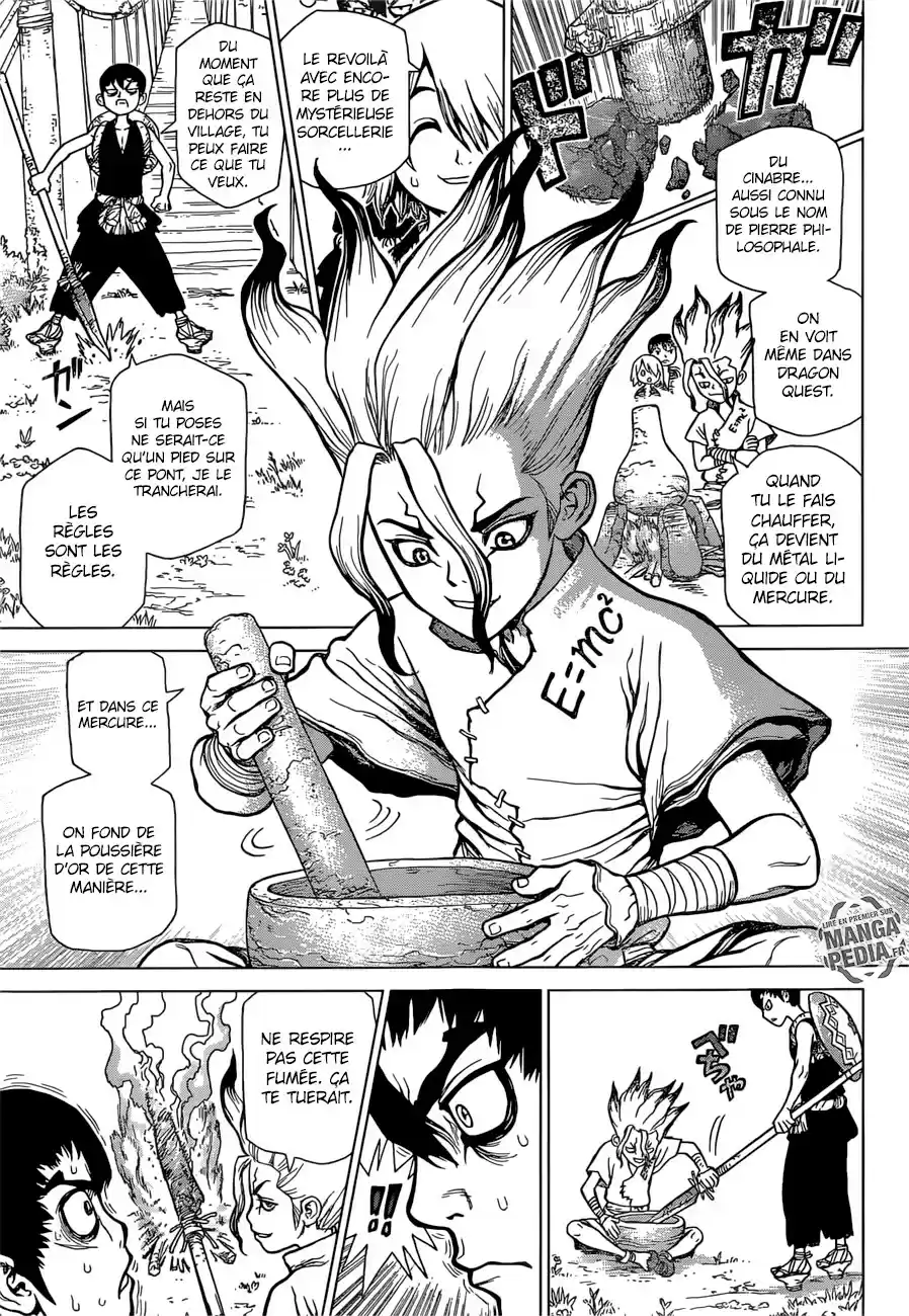 Read Dr. Stone FR Manga Online