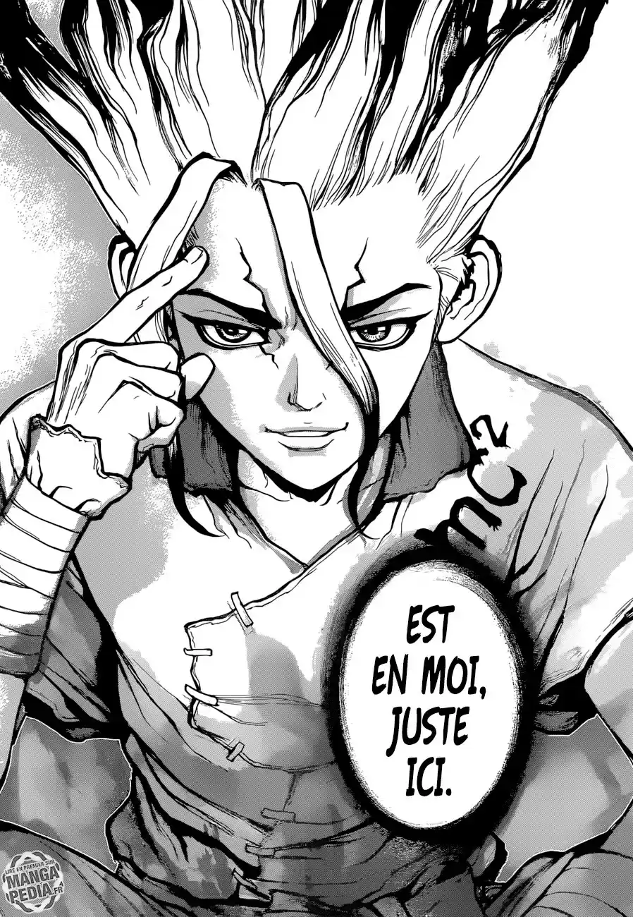 Read Dr. Stone FR Manga Online