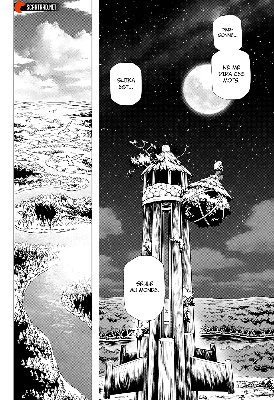 Read Dr. Stone FR Manga Online