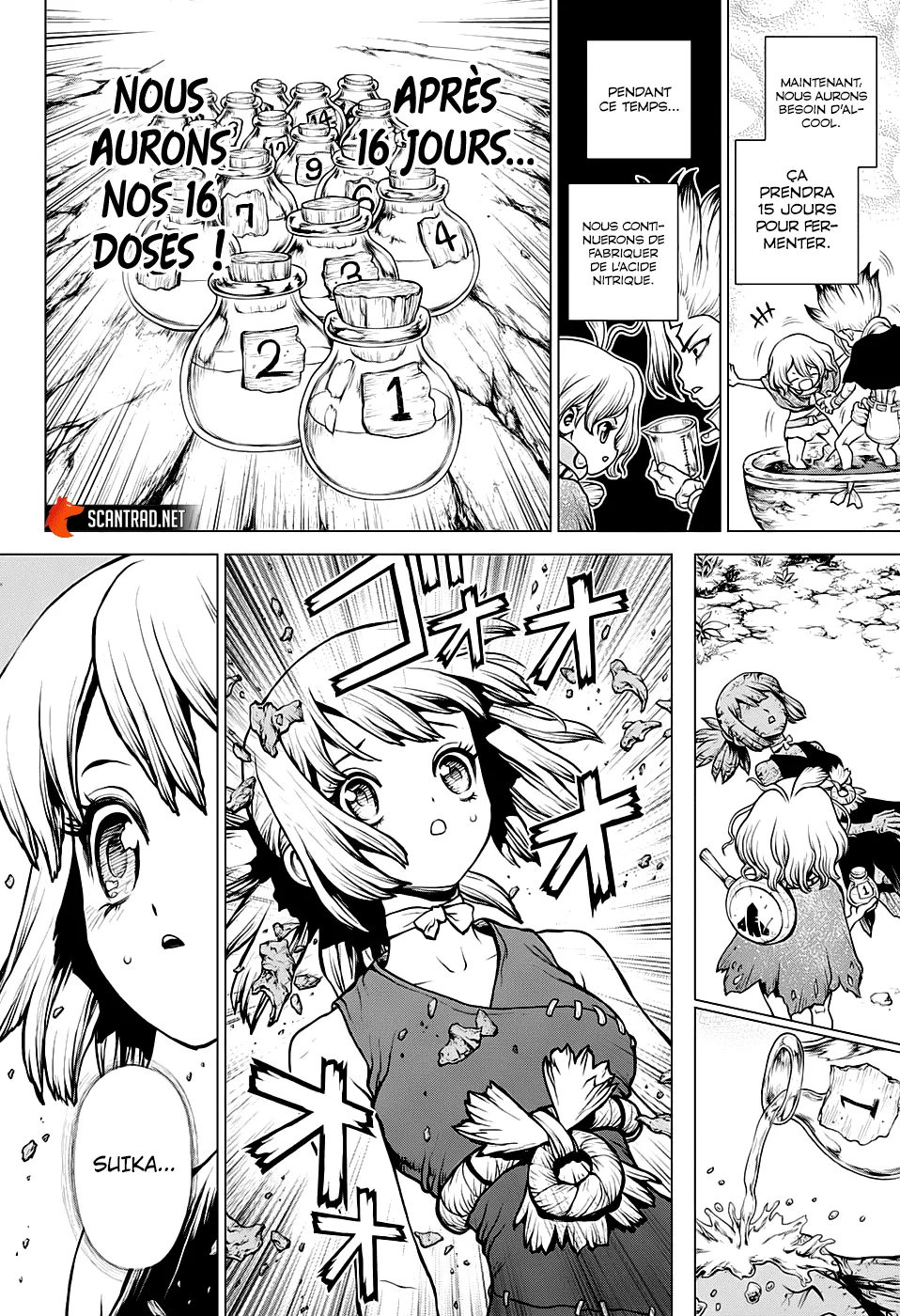 Read Dr. Stone FR Manga Online