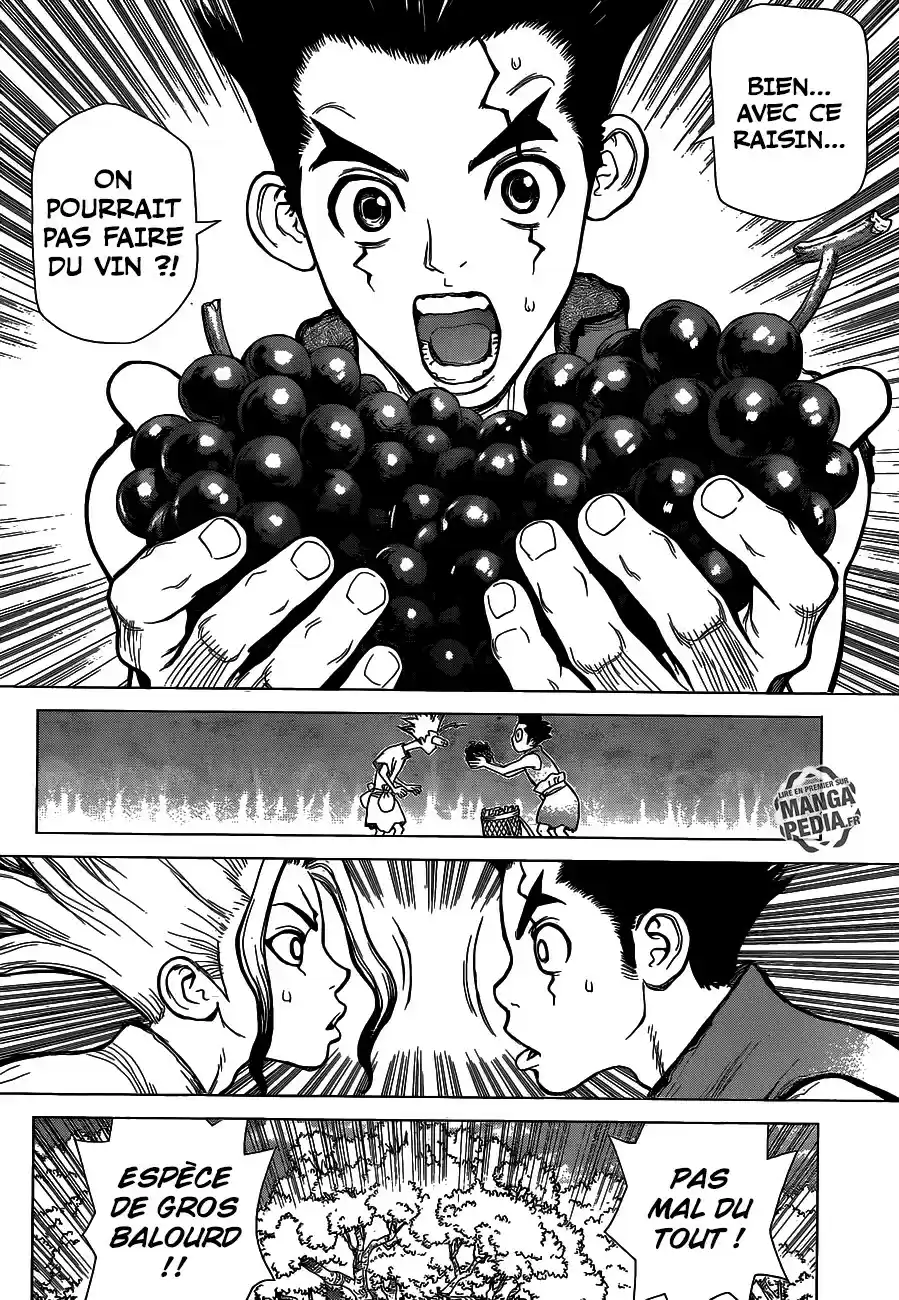 Read Dr. Stone FR Manga Online