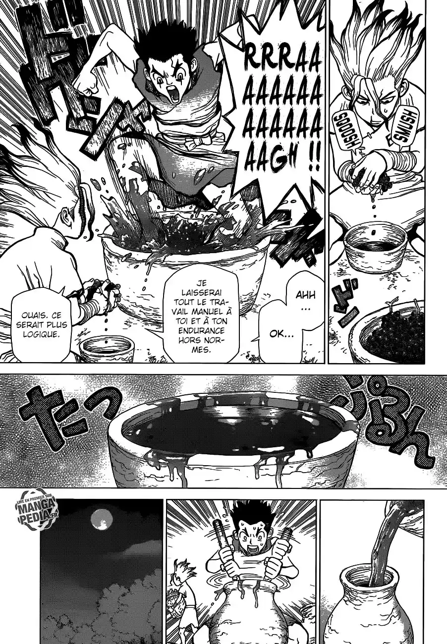 Read Dr. Stone FR Manga Online