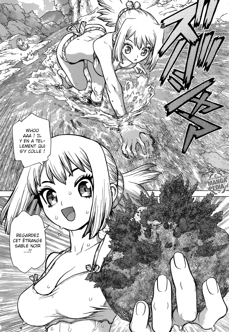 Read Dr. Stone FR Manga Online