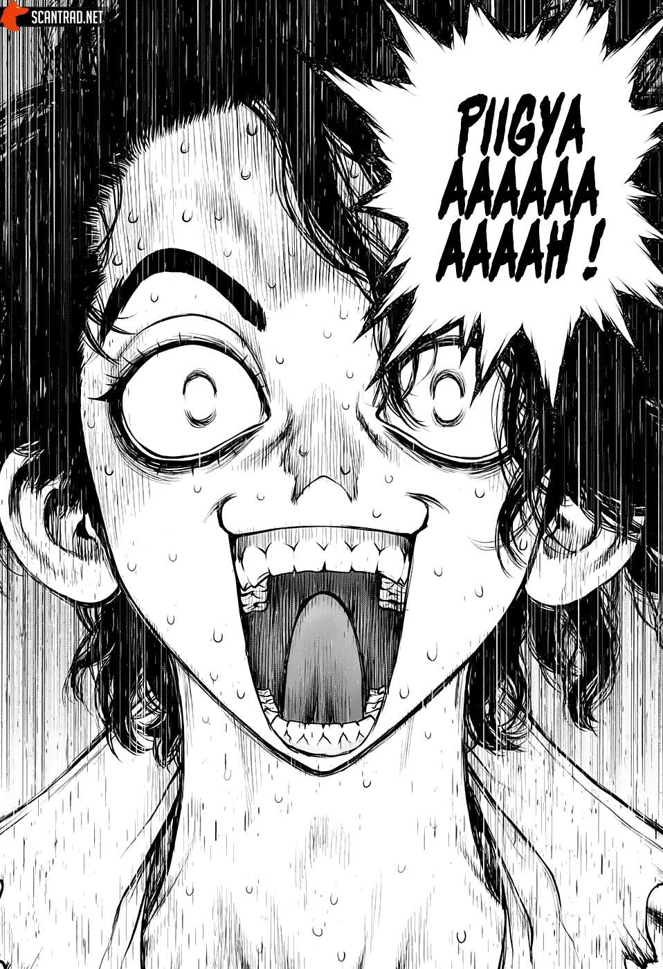 Read Dr. Stone FR Manga Online