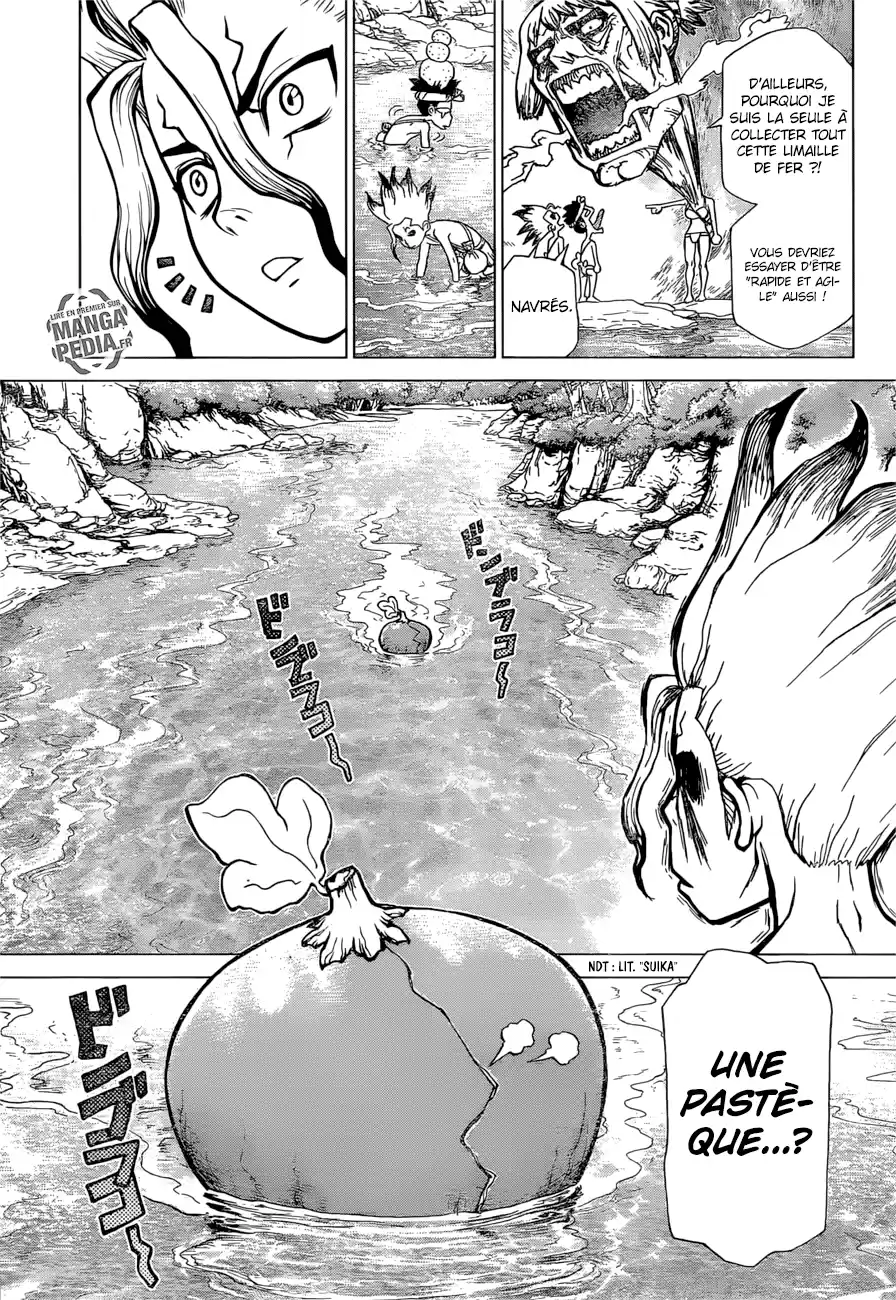 Read Dr. Stone FR Manga Online