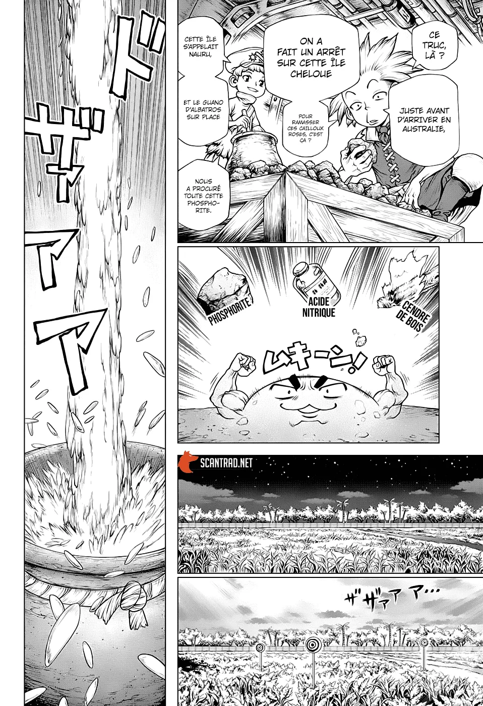 Read Dr. Stone FR Manga Online