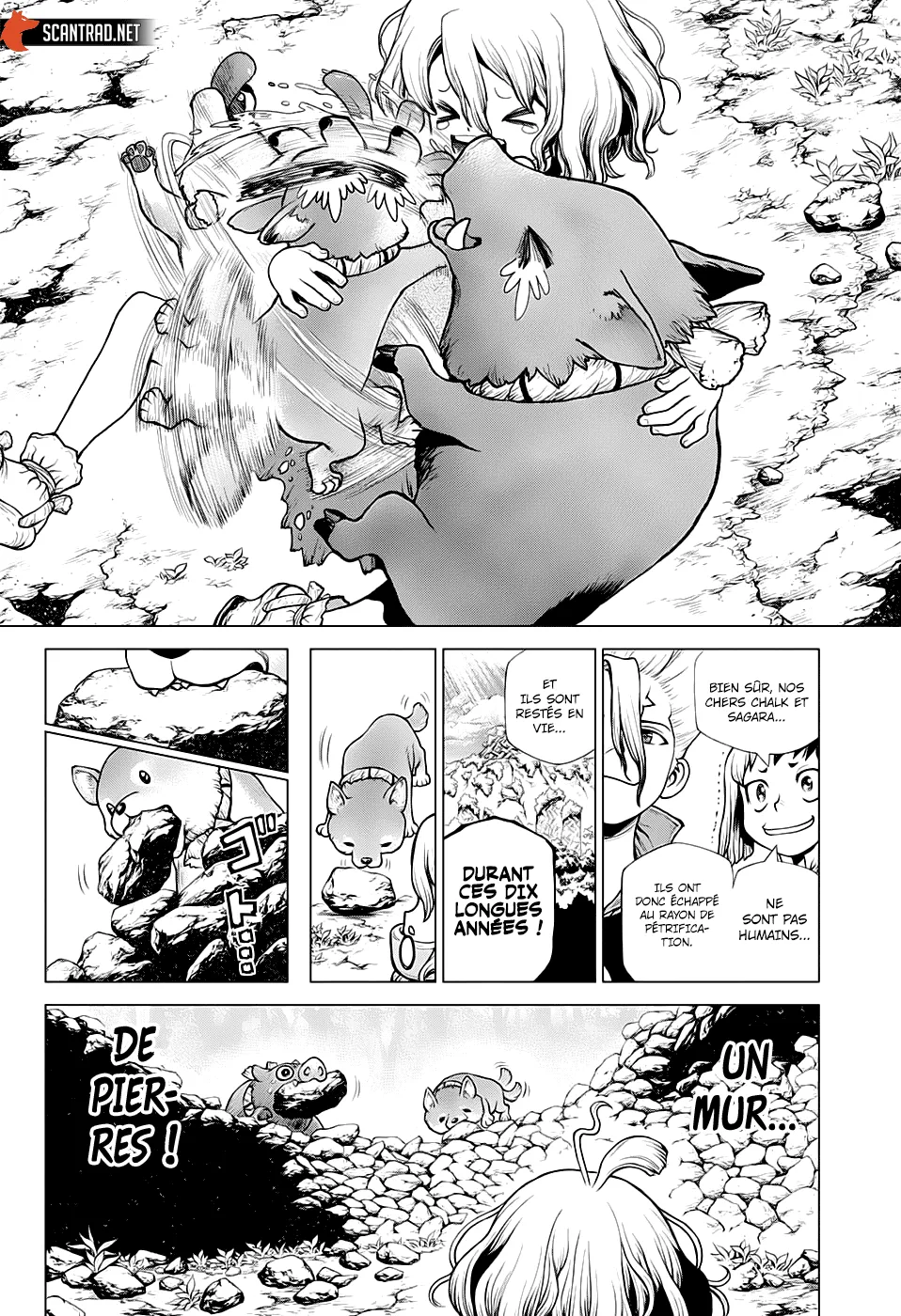 Read Dr. Stone FR Manga Online
