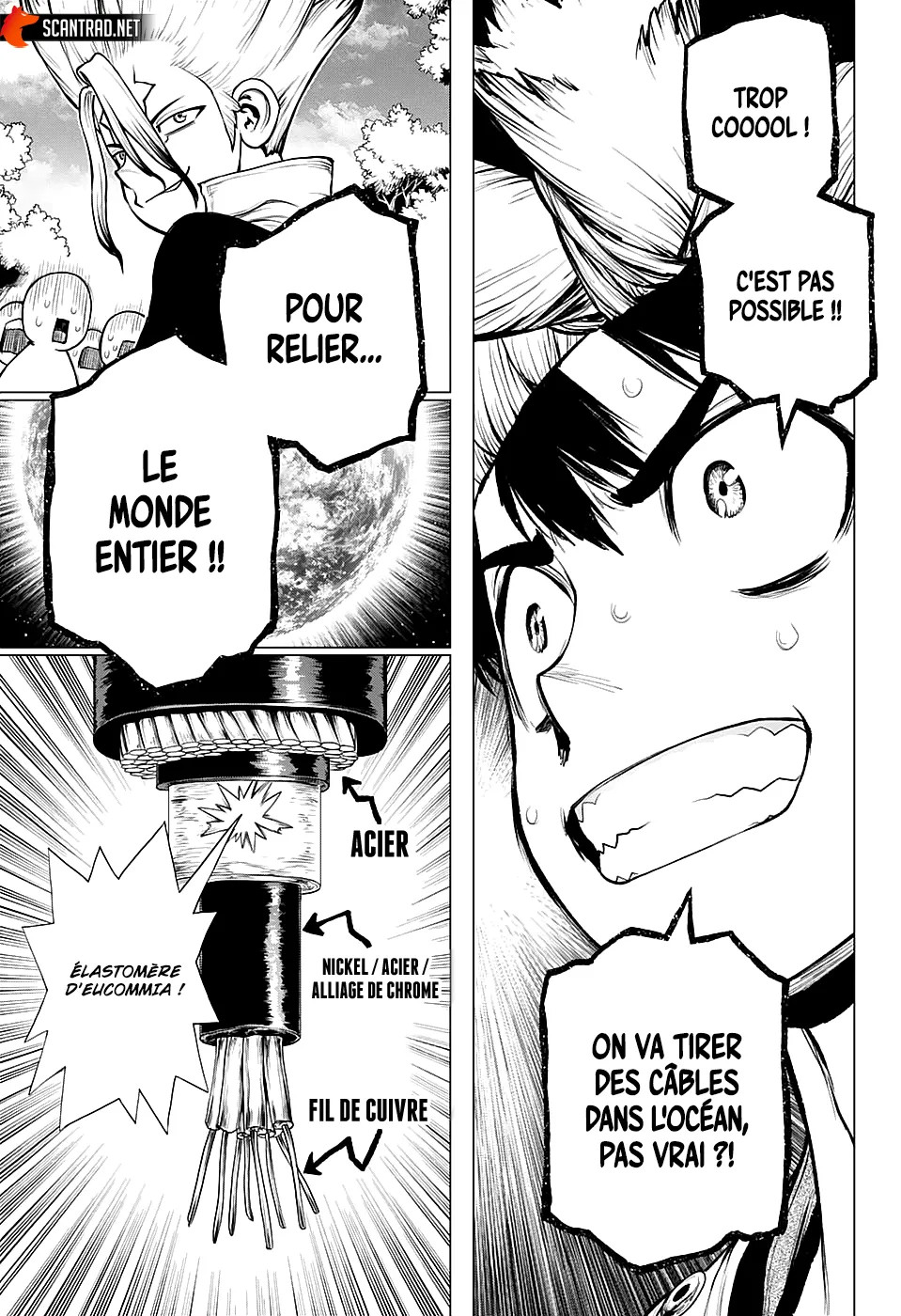Read Dr. Stone FR Manga Online