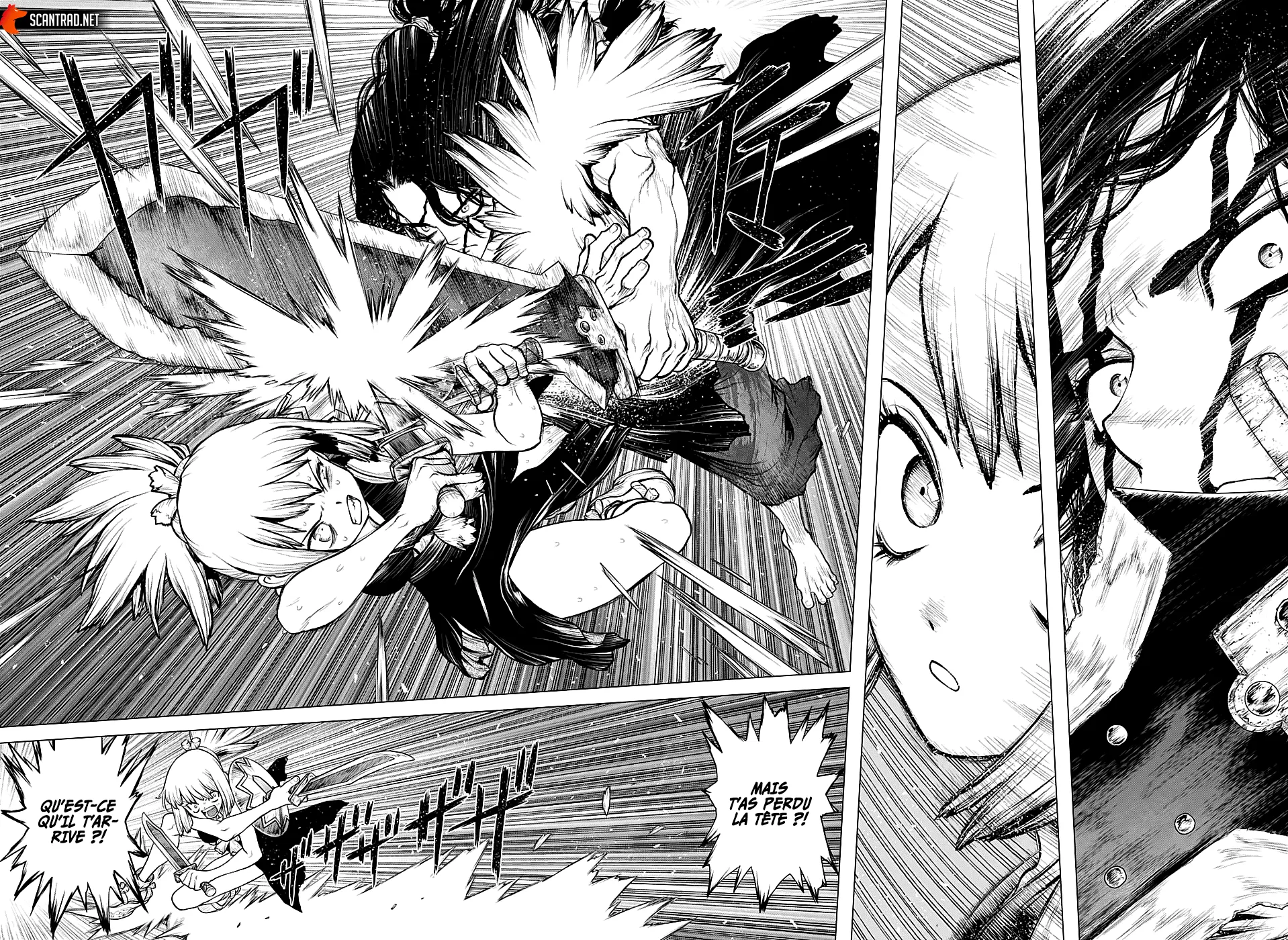 Read Dr. Stone FR Manga Online