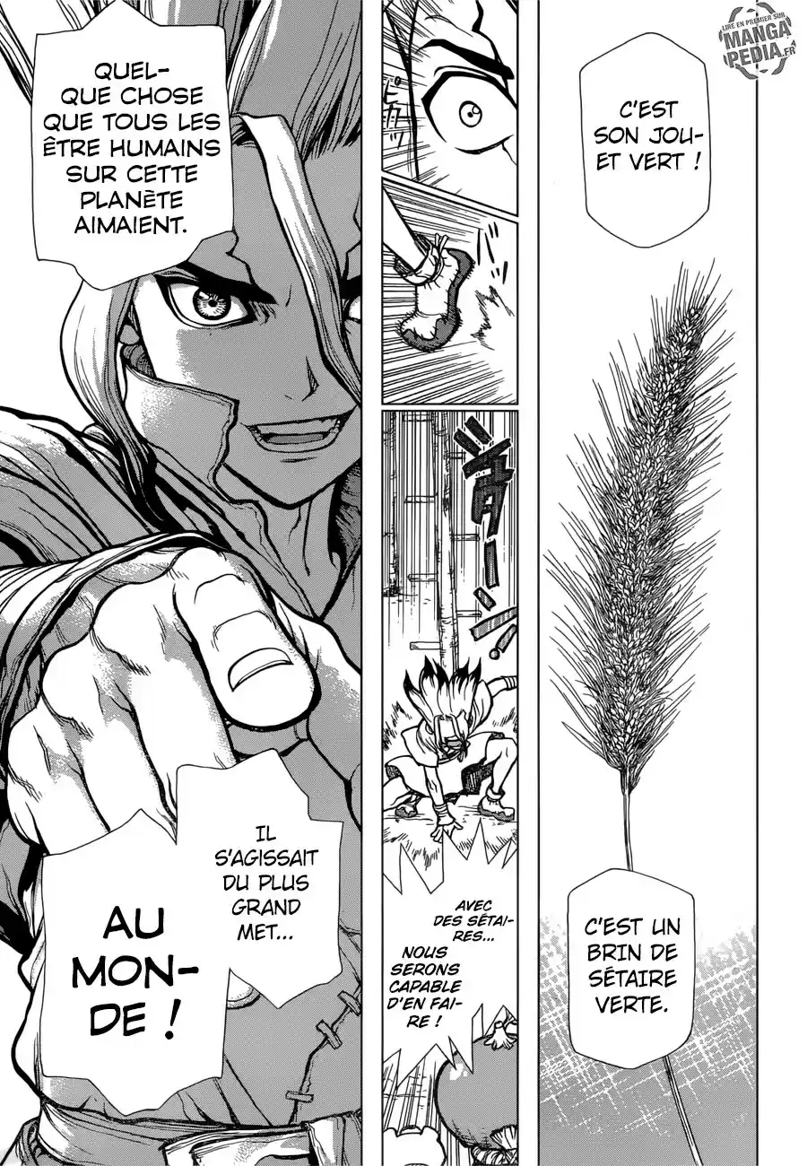 Read Dr. Stone FR Manga Online