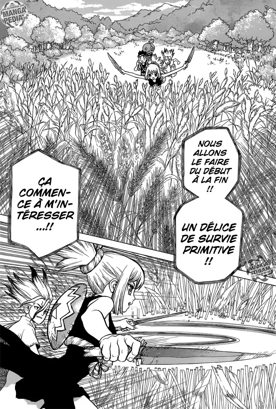Read Dr. Stone FR Manga Online