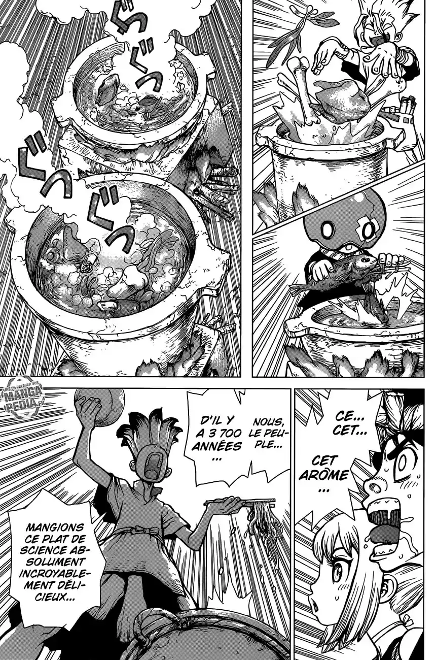 Read Dr. Stone FR Manga Online