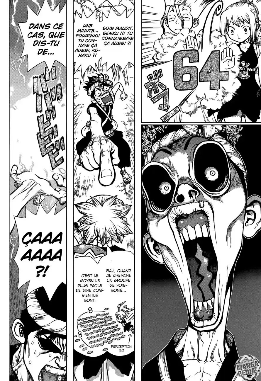 Read Dr. Stone FR Manga Online