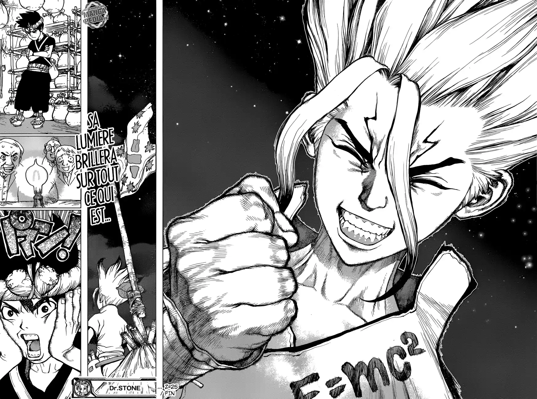 Read Dr. Stone FR Manga Online