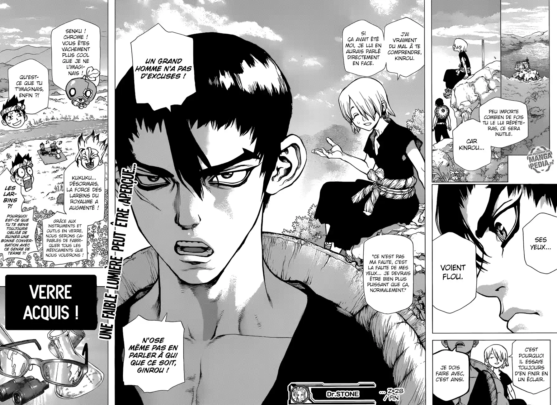 Read Dr. Stone FR Manga Online