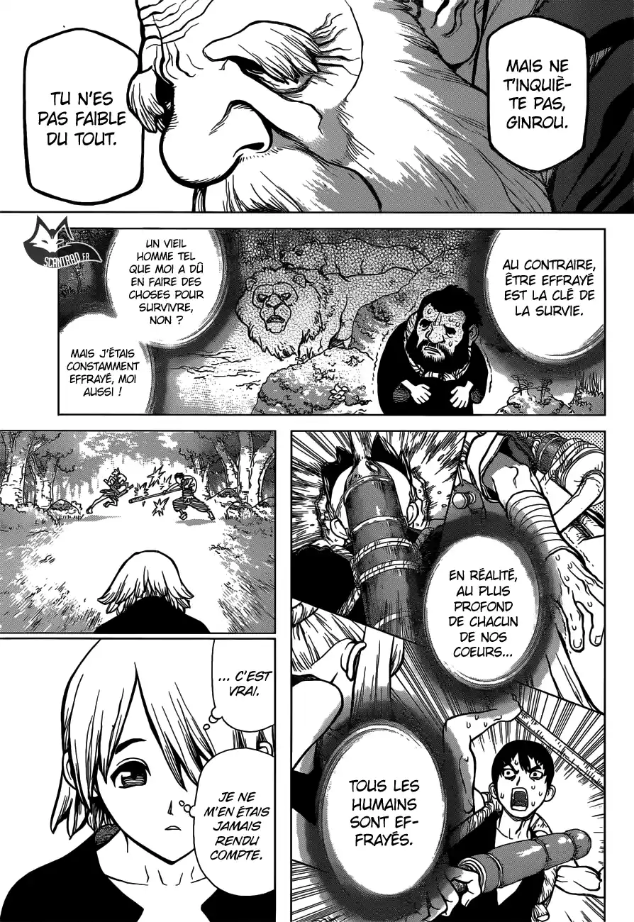 Read Dr. Stone FR Manga Online