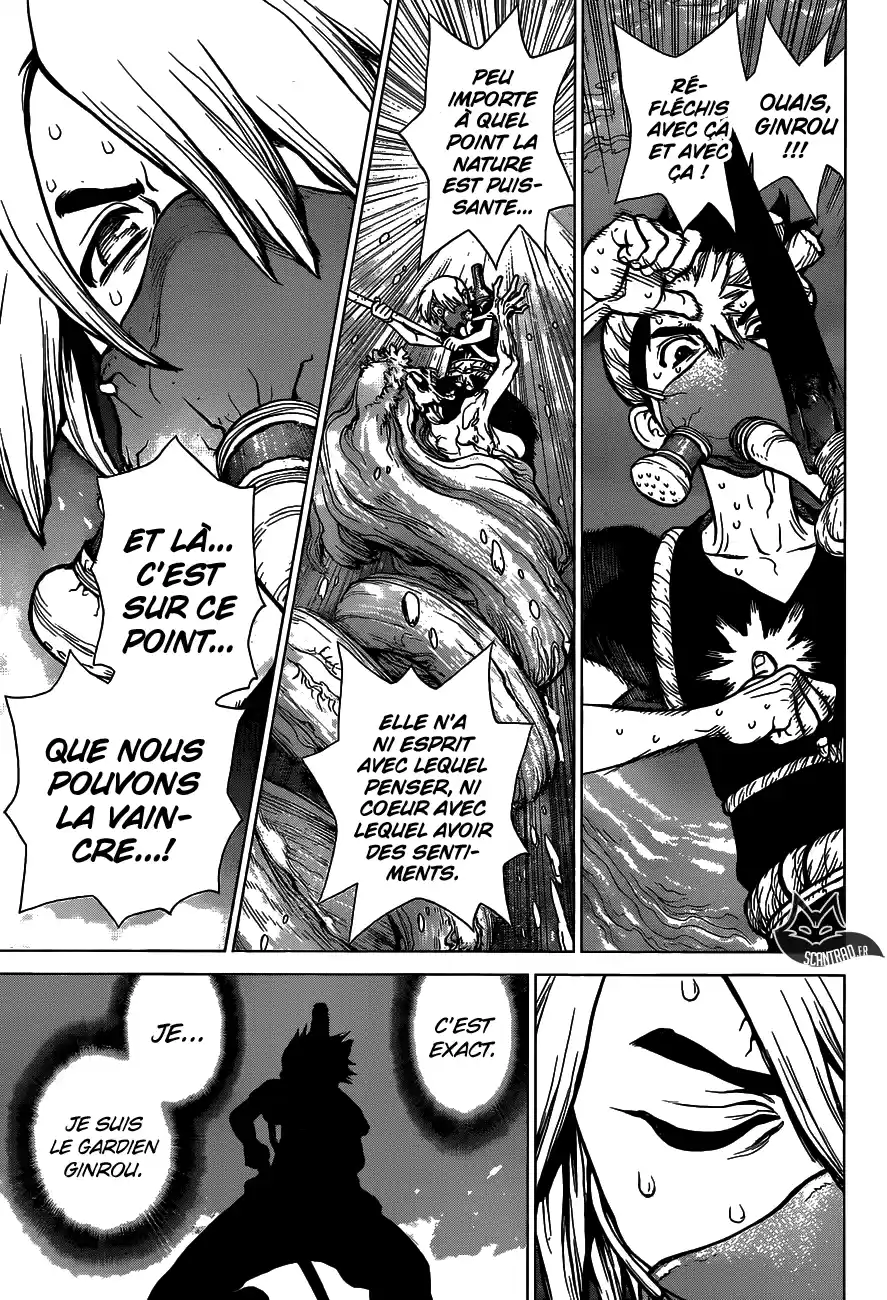 Read Dr. Stone FR Manga Online
