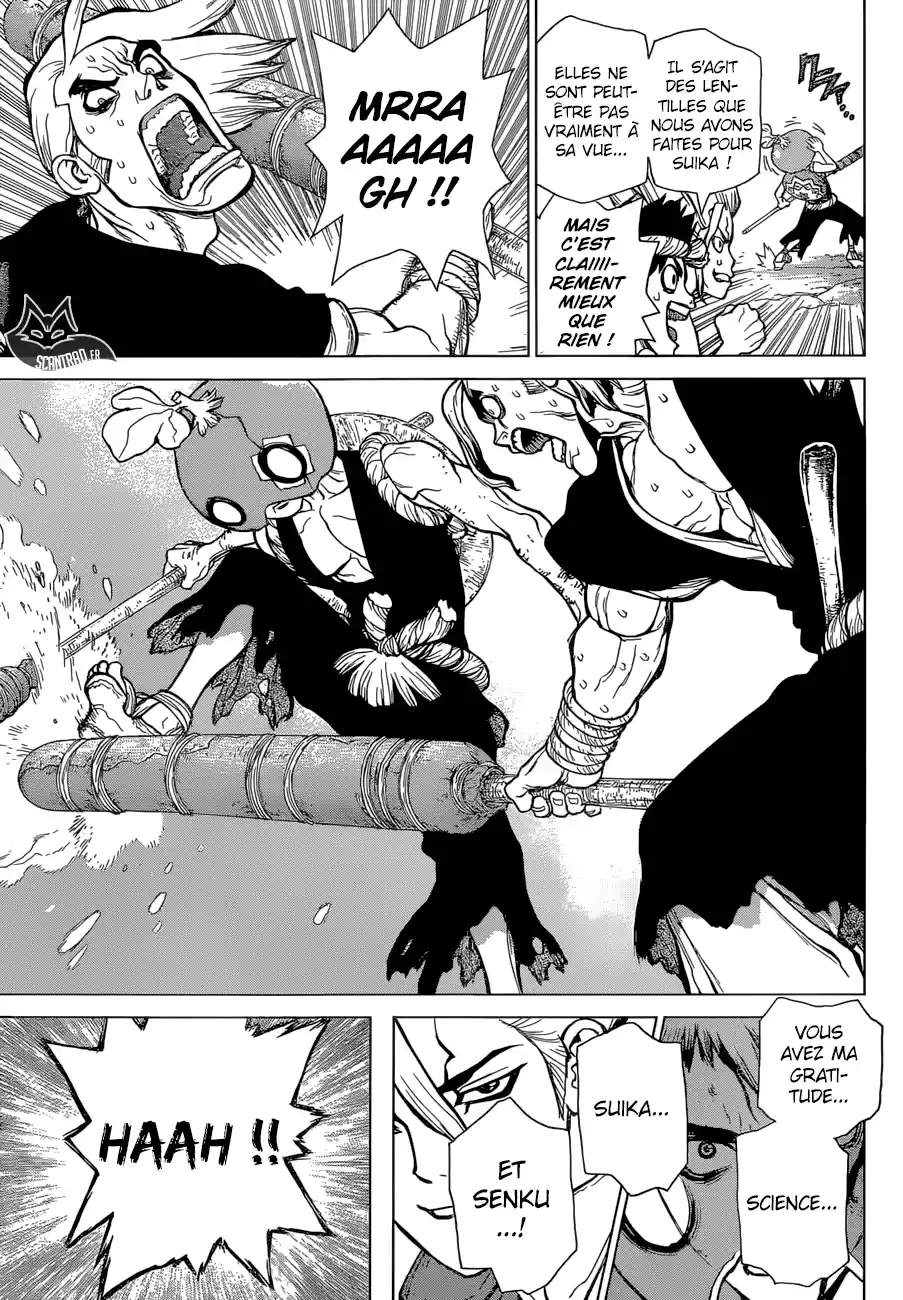 Read Dr. Stone FR Manga Online