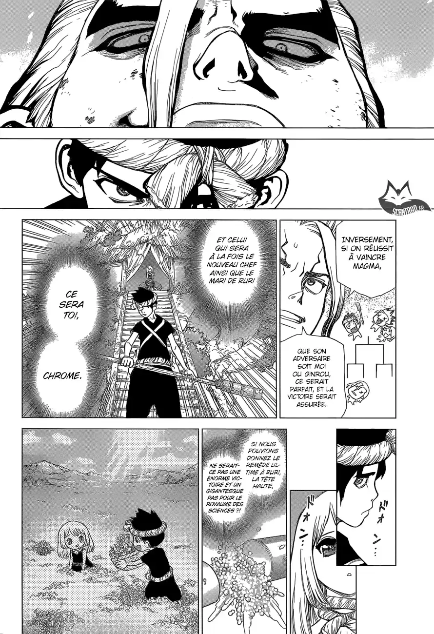 Read Dr. Stone FR Manga Online