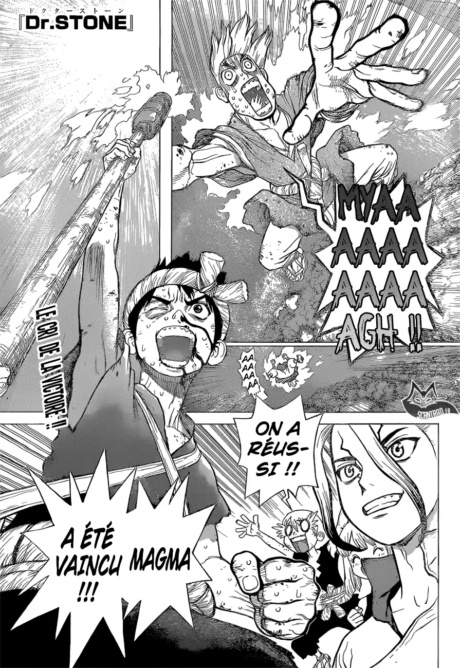 Read Dr. Stone FR Manga Online