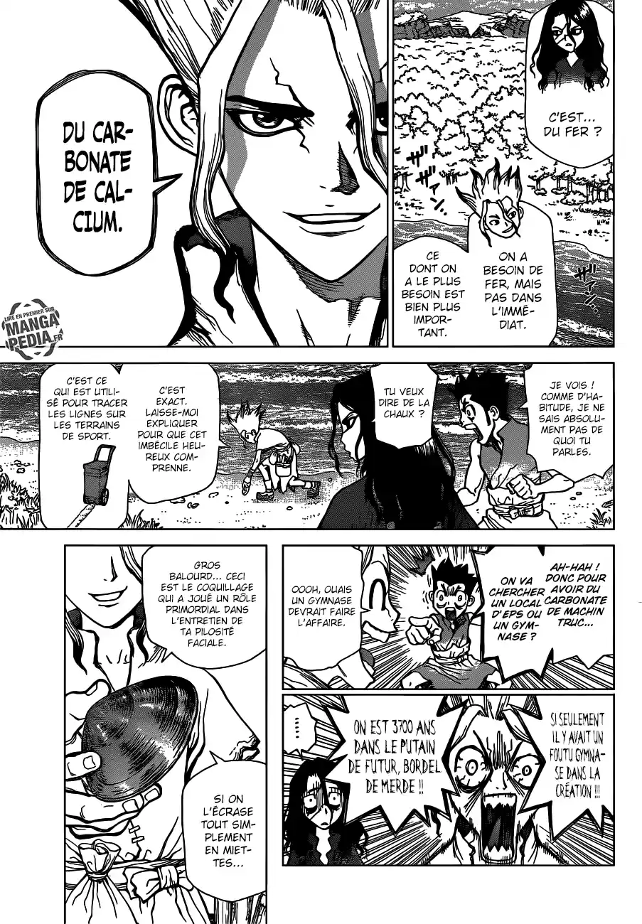 Read Dr. Stone FR Manga Online