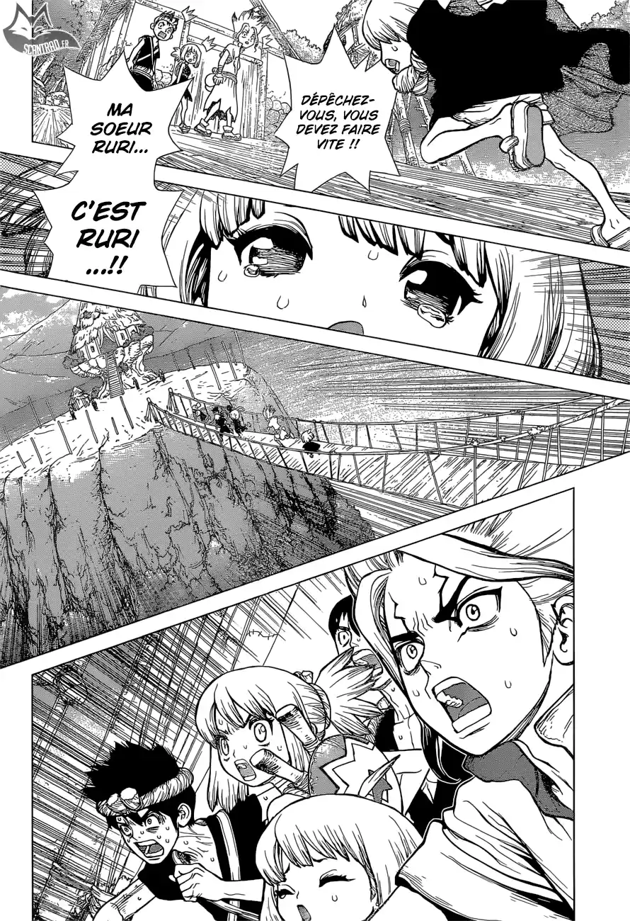 Read Dr. Stone FR Manga Online