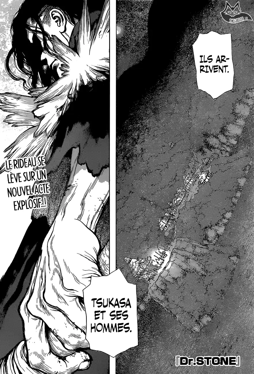 Read Dr. Stone FR Manga Online