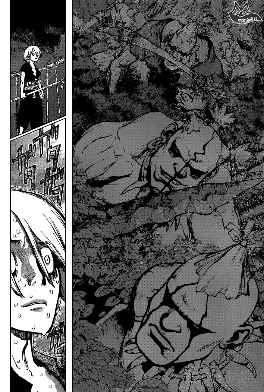 Read Dr. Stone FR Manga Online