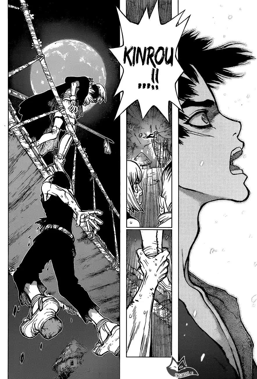 Read Dr. Stone FR Manga Online