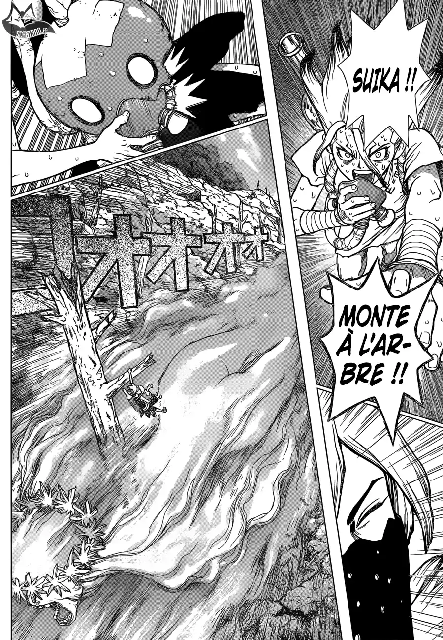 Read Dr. Stone FR Manga Online