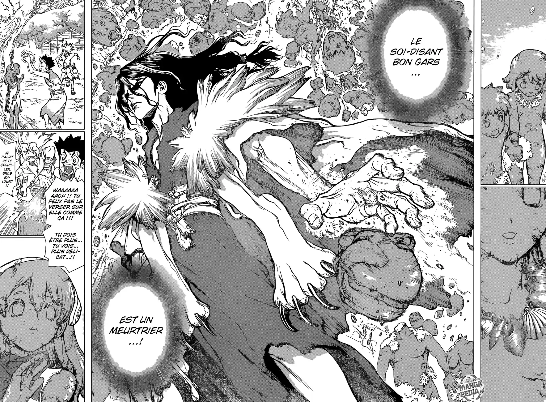 Read Dr. Stone FR Manga Online