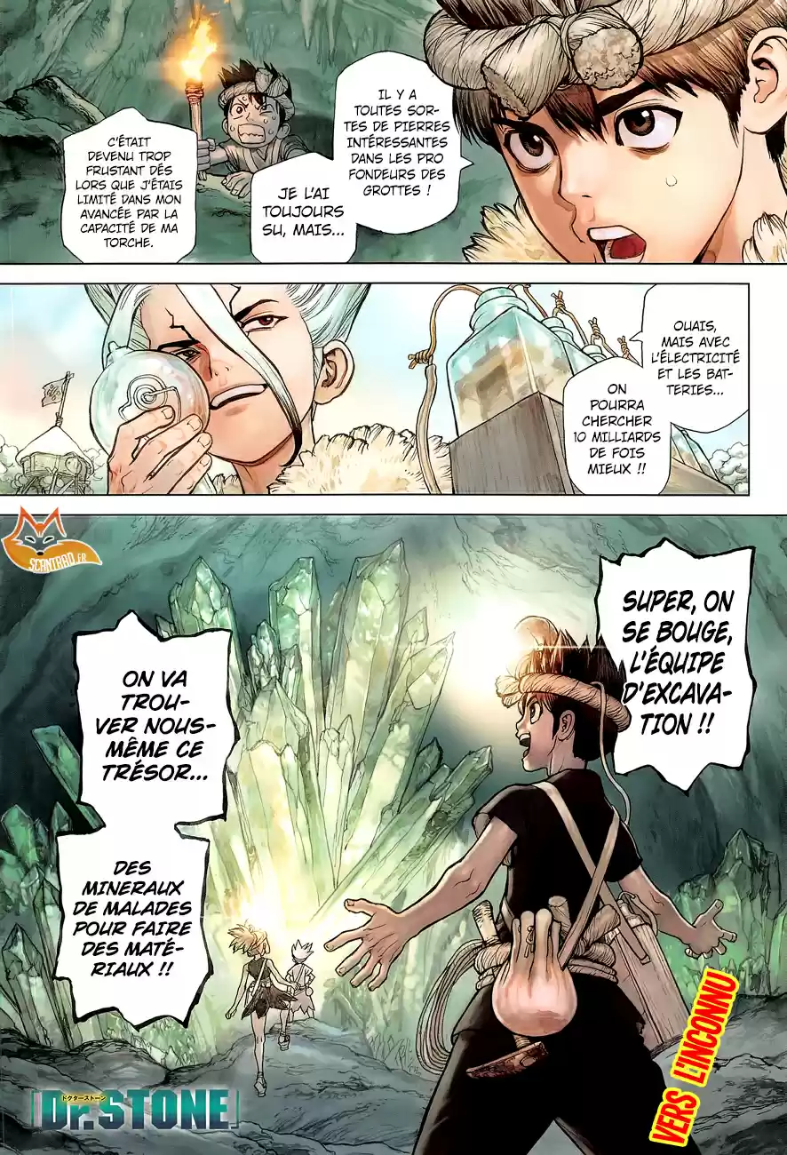 Read Dr. Stone FR Manga Online