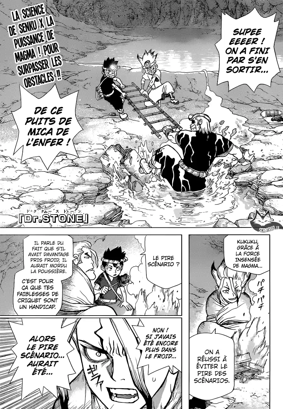 Read Dr. Stone FR Manga Online