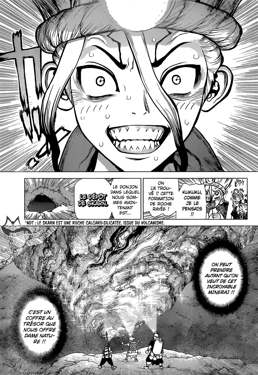 Read Dr. Stone FR Manga Online