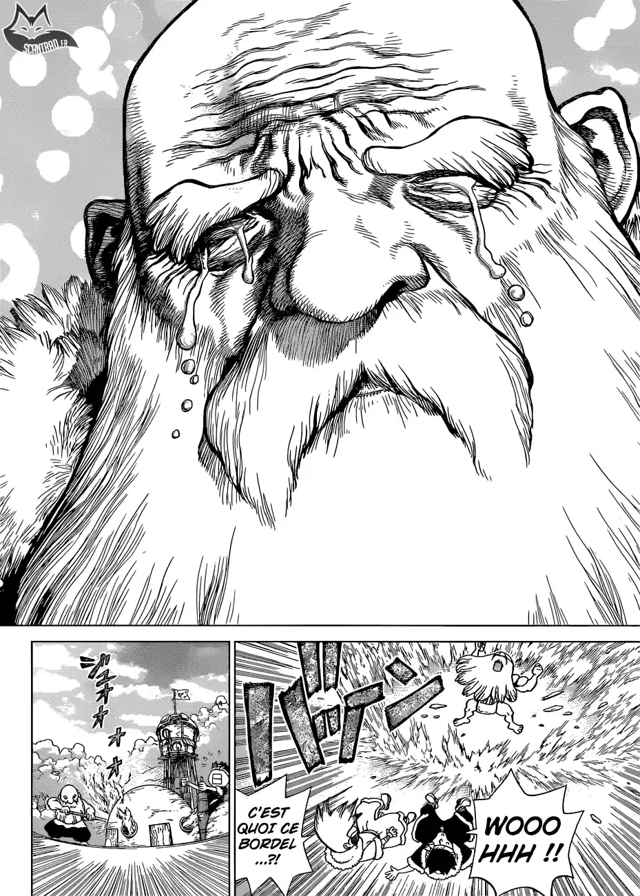 Read Dr. Stone FR Manga Online