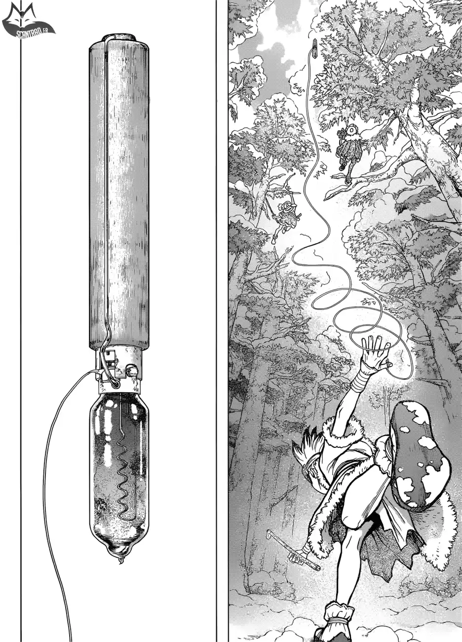 Read Dr. Stone FR Manga Online