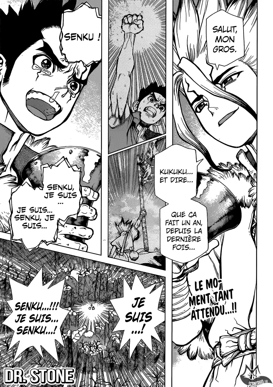 Read Dr. Stone FR Manga Online