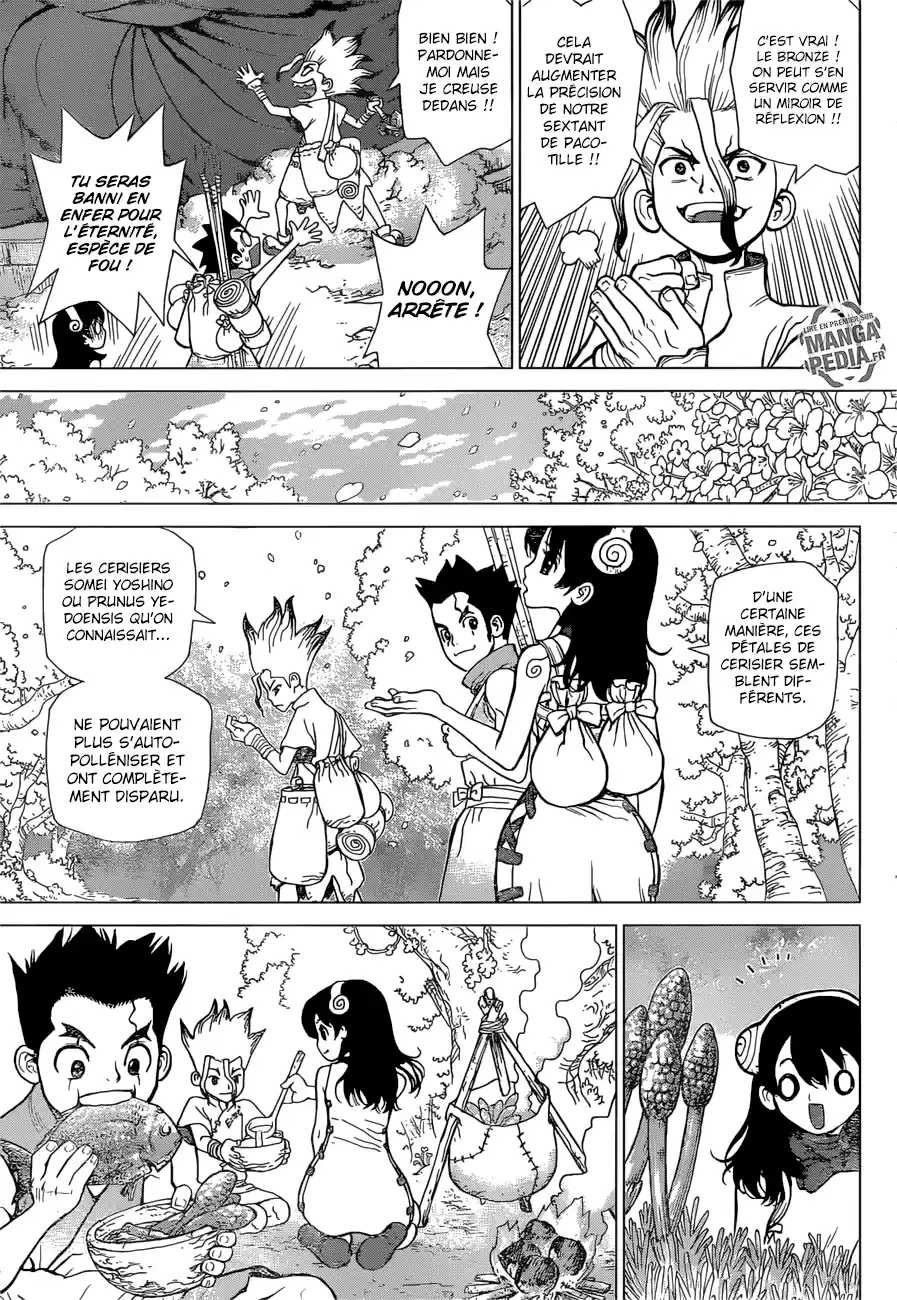 Read Dr. Stone FR Manga Online