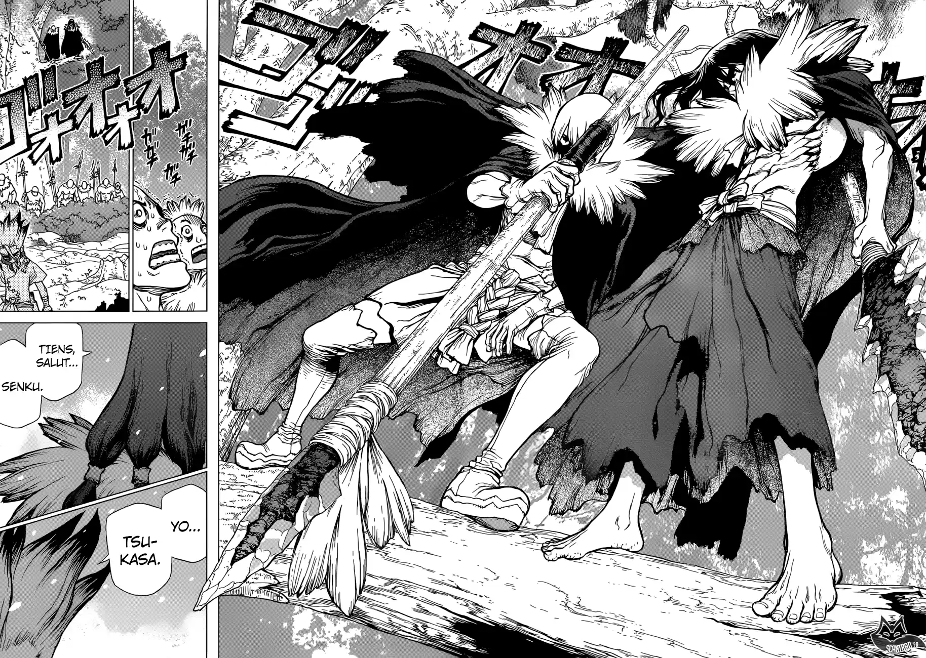 Read Dr. Stone FR Manga Online