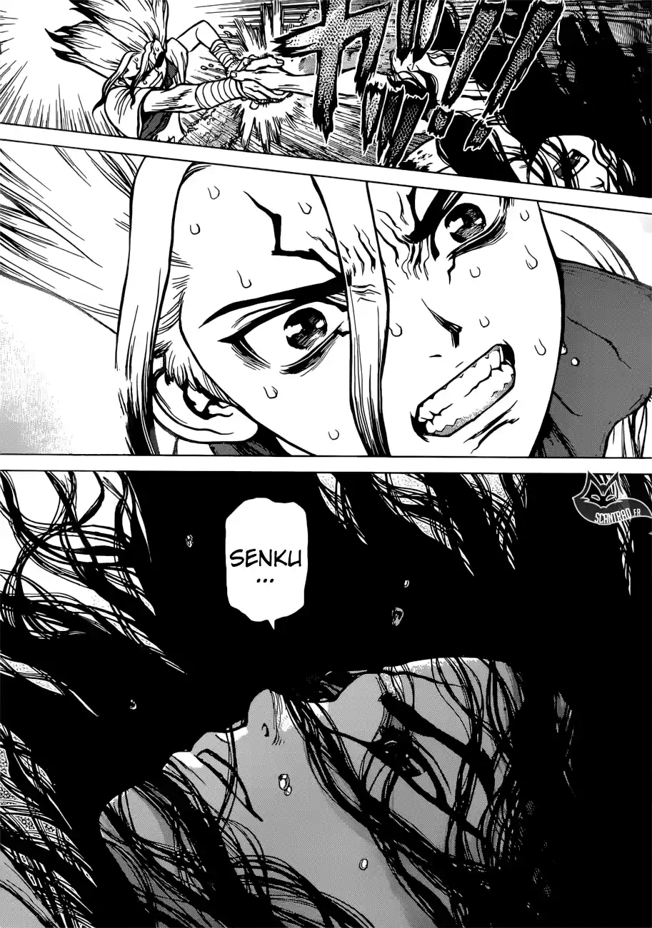 Read Dr. Stone FR Manga Online