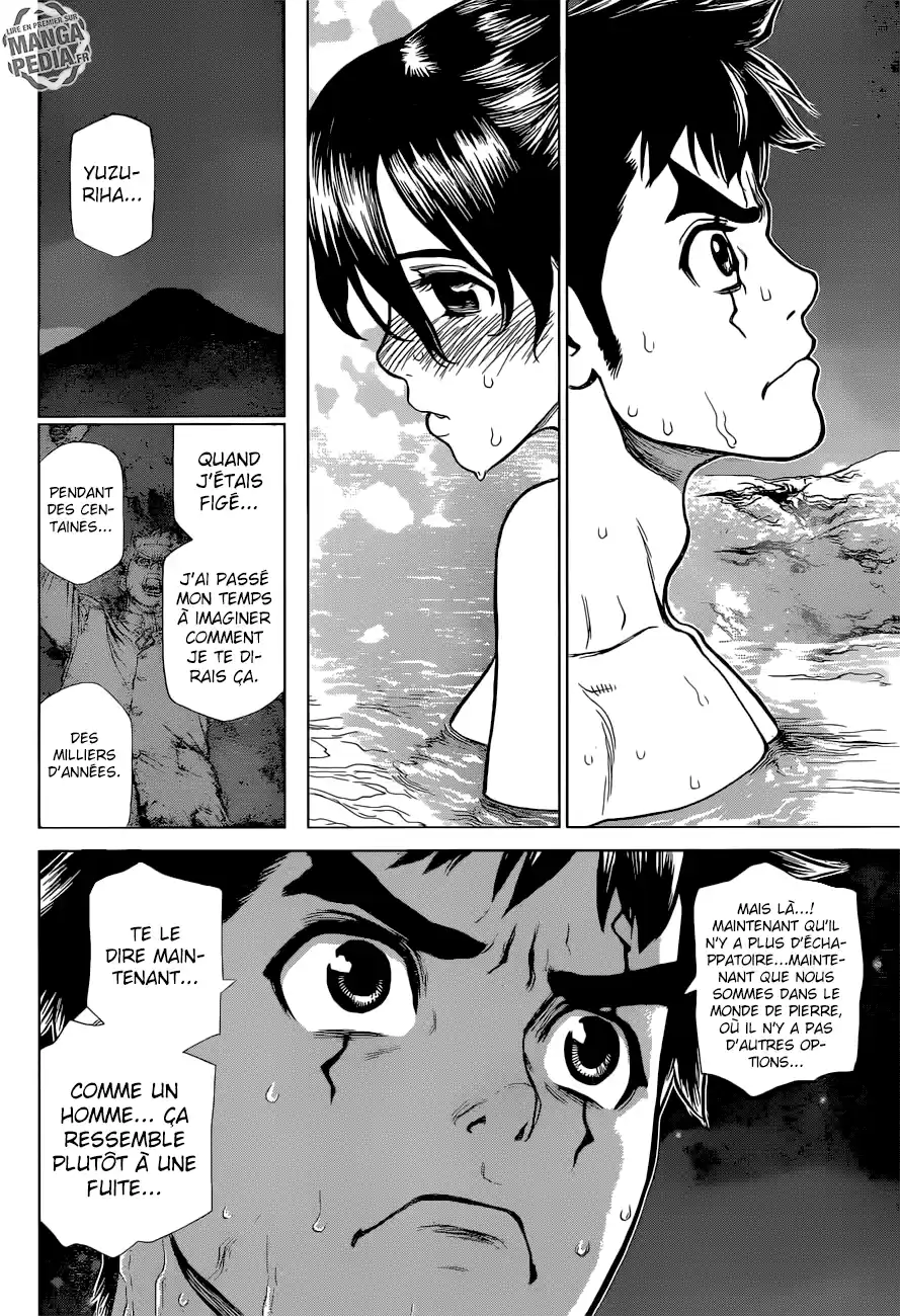 Read Dr. Stone FR Manga Online