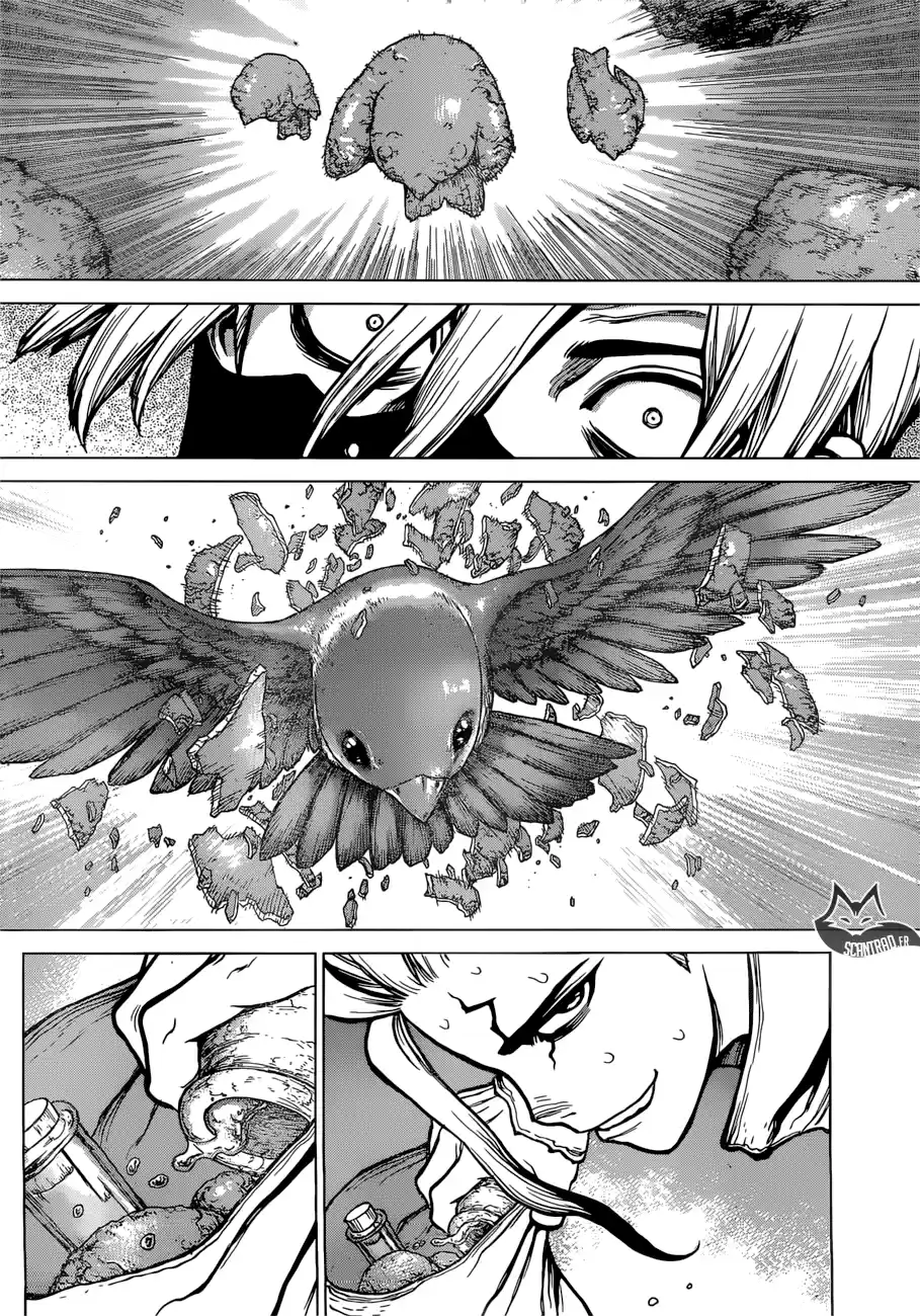 Read Dr. Stone FR Manga Online