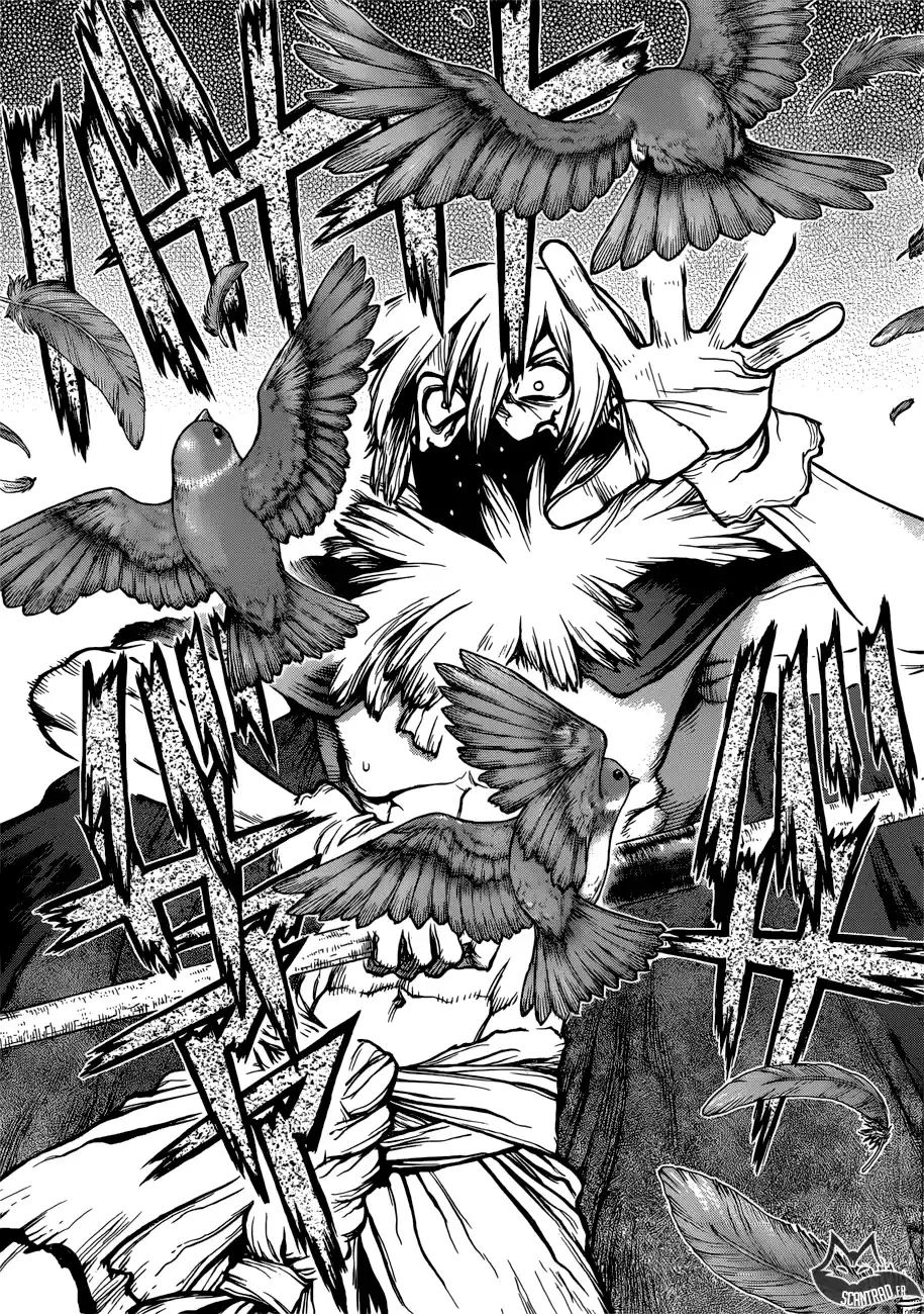 Read Dr. Stone FR Manga Online