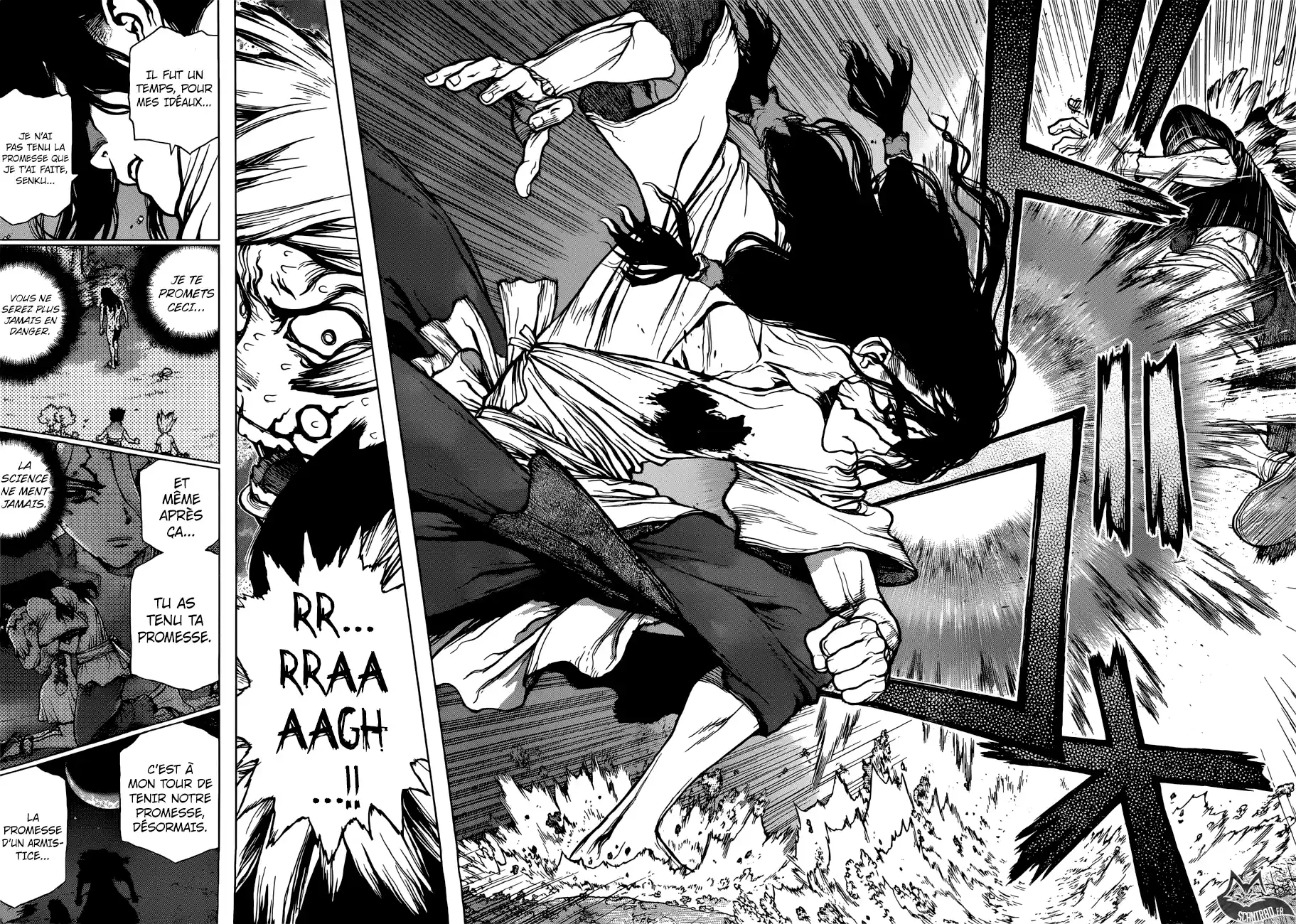 Read Dr. Stone FR Manga Online